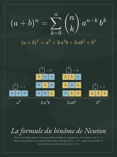 La formule du binôme de Newton · Tableau noir, affiche formule du binôme de Newton