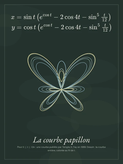 La courbe papillon · Tableau noir, affiche courbe papillon