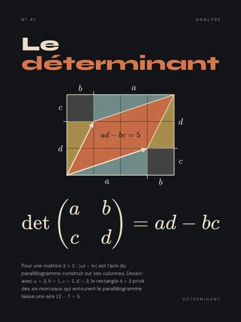 Le déterminant · Nuit, affiche déterminant