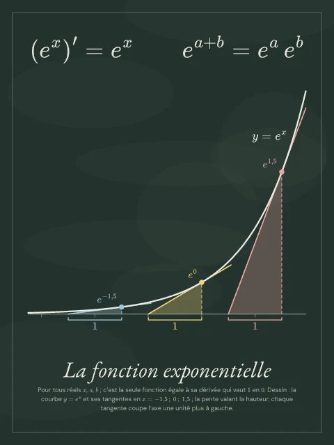 La fonction exponentielle · Tableau noir, affiche fonction exponentielle