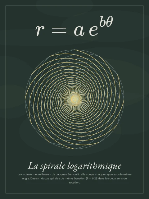 La spirale logarithmique · Tableau noir, affiche spirale logarithmique